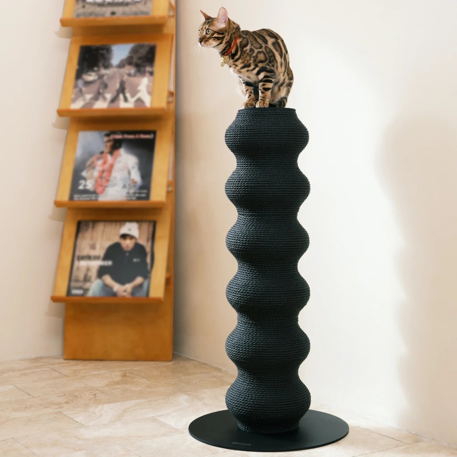 Cat Scratcher