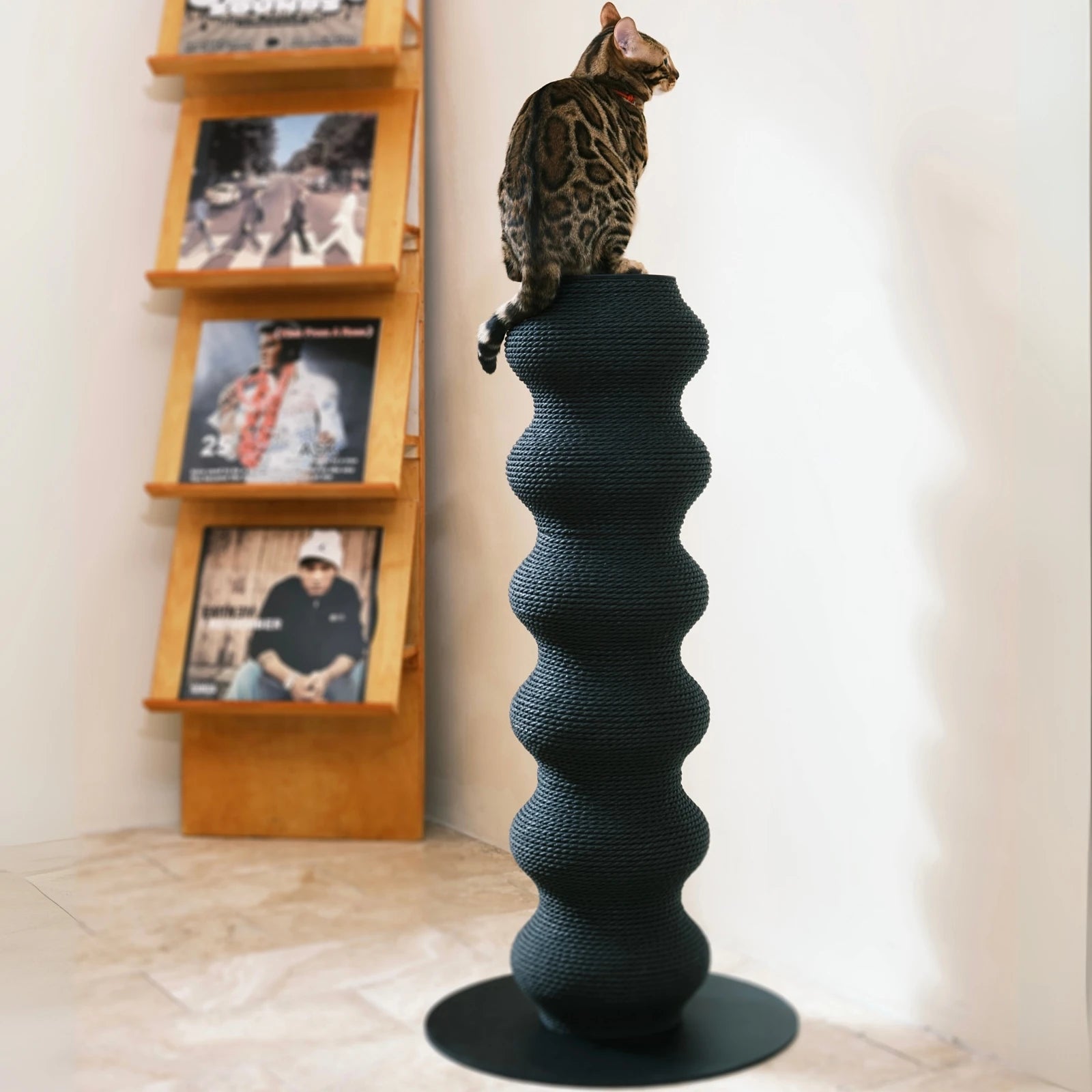 Coral Scratch Post | Black