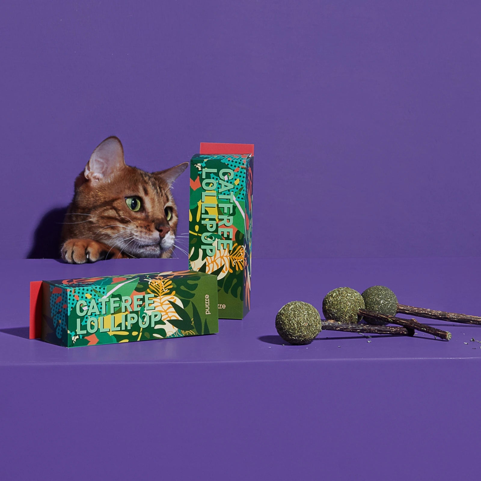 Catfree Lollipop | Catnip Chew Sticks