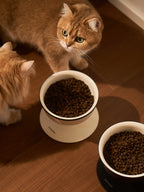 Bamboo Island Ceramic Bowl