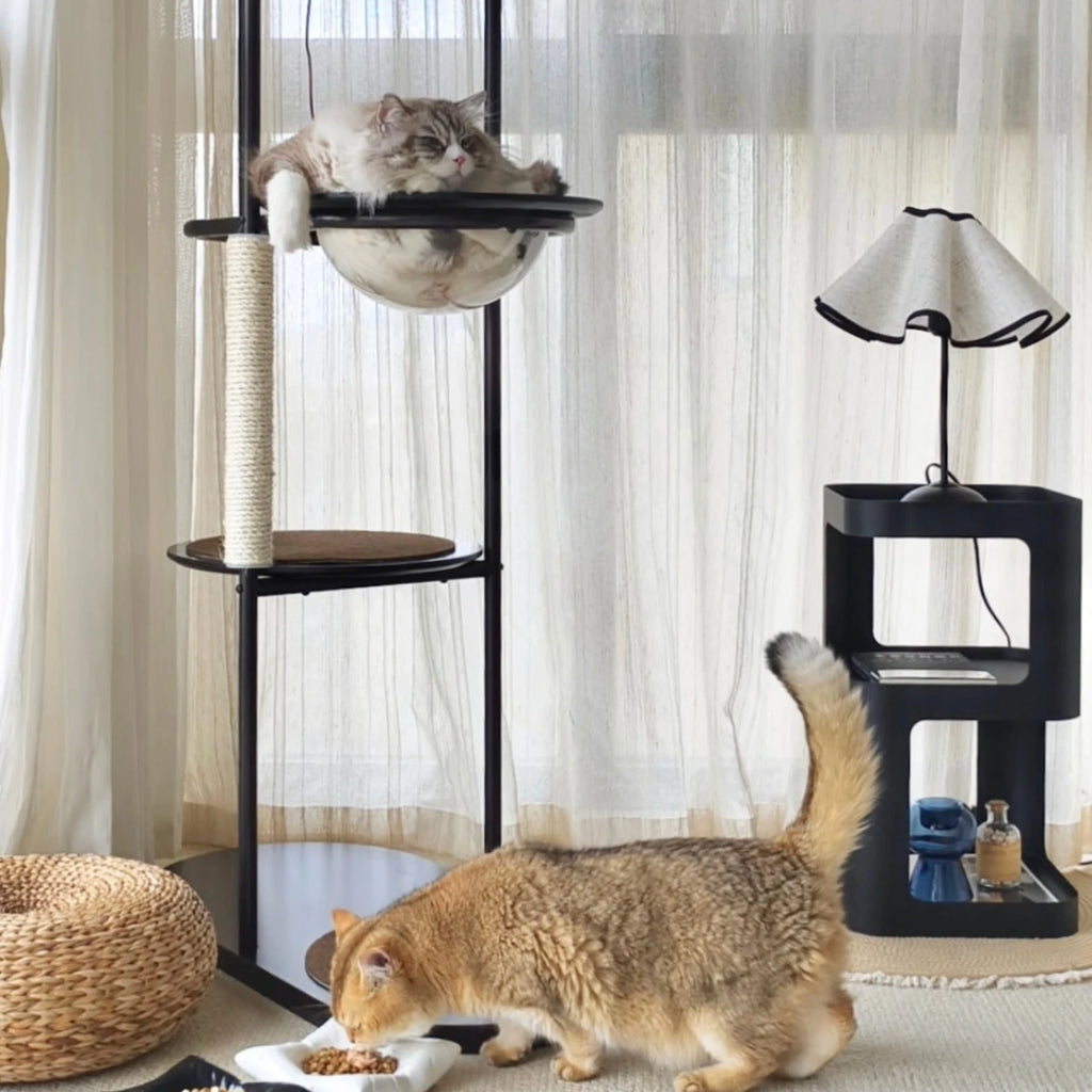 Space Capsule Classic