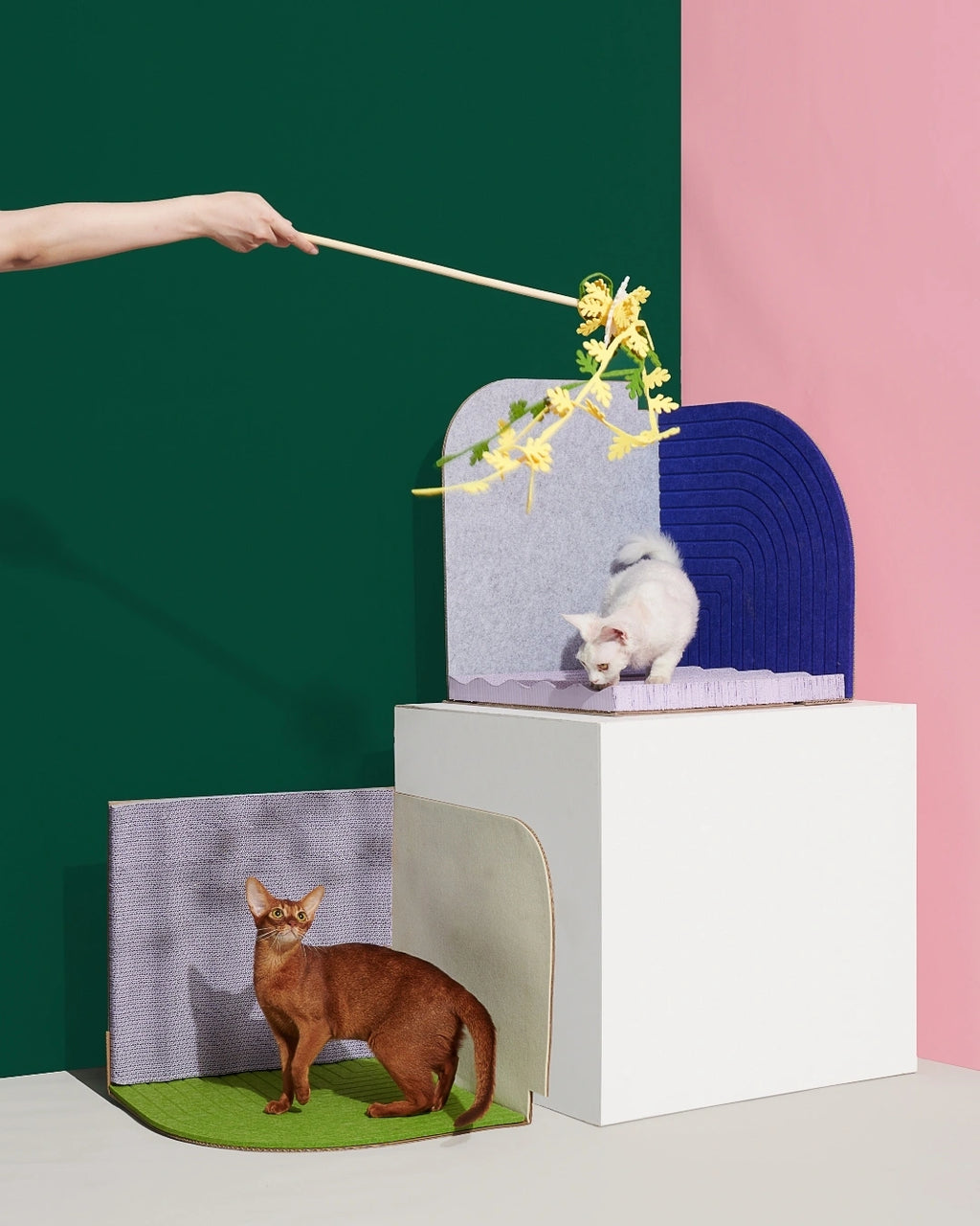 Dancing Flake | Blooming Cat Teaser Collection