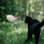 Natural Feather Cat Teaser Toy | 4-Toy Set