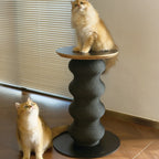 Coral Scratch Table | Black