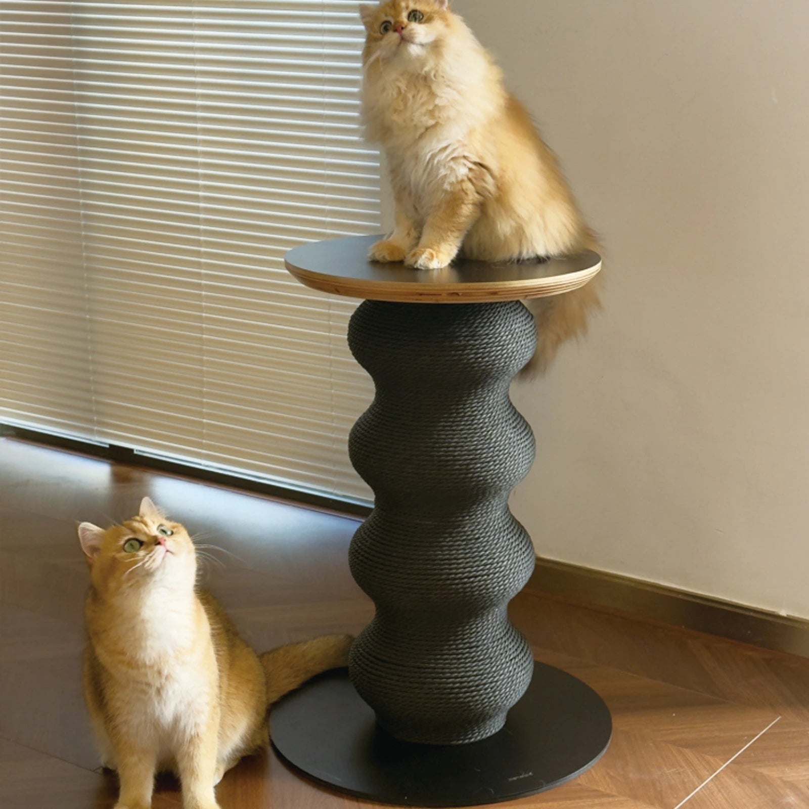 Coral Scratch Table | Black