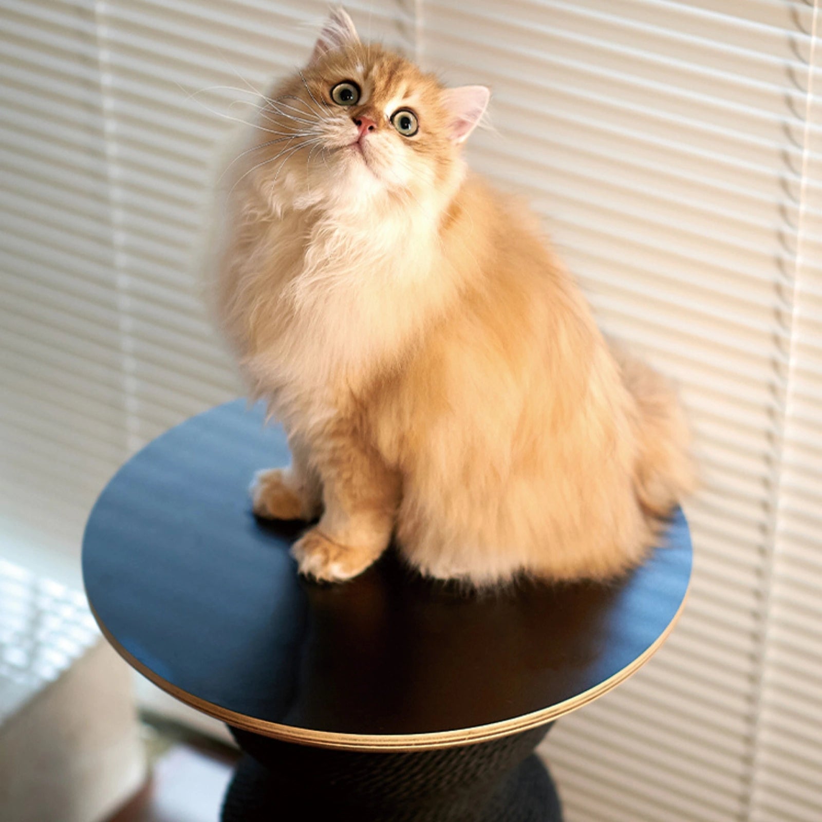 Coral Scratch Table | Black