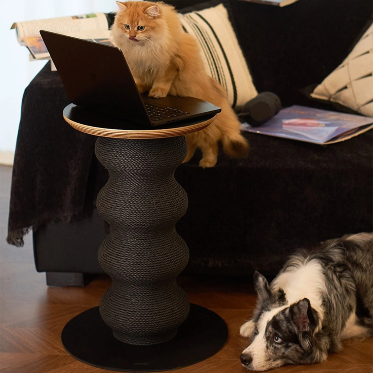 Cat Scratch Table Coral Scratch Table Black – Side Table & Cat Scratcher | Modern Cat ...