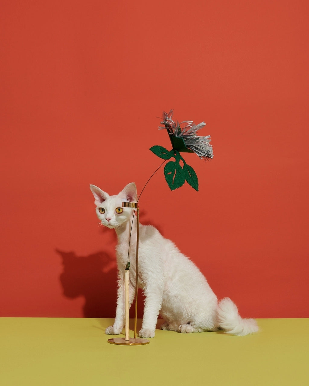 Silver Grass | Blooming Cat Teaser Collection