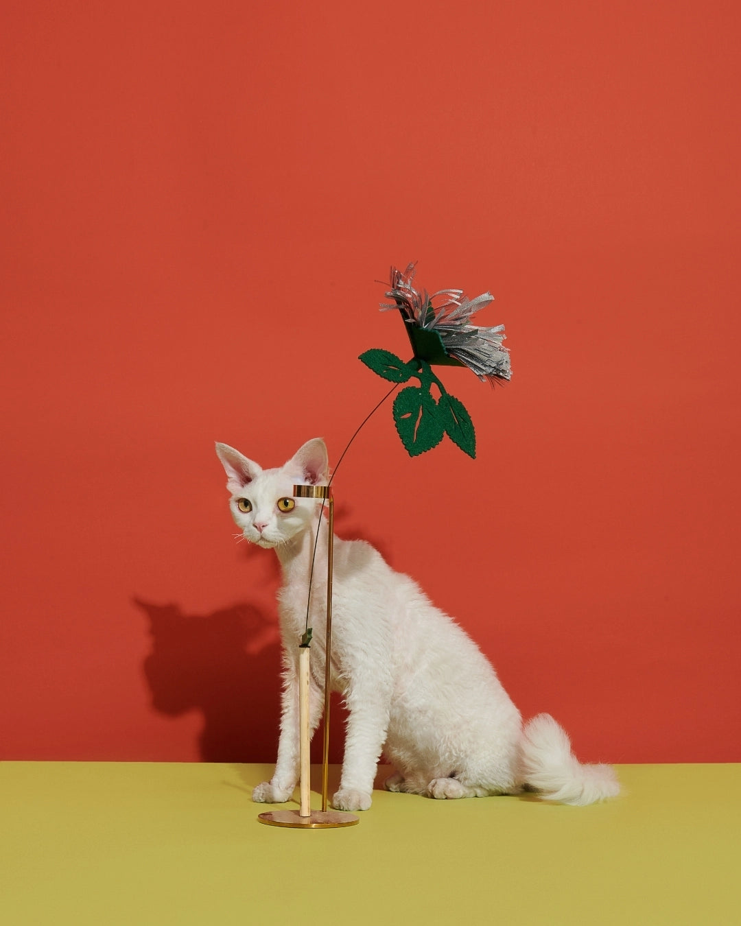 Blooming Cat Teaser Complete set