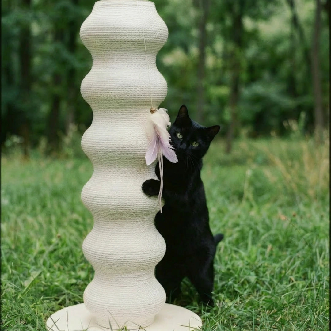 Natural Feather Cat Teaser Toy | 4-Toy Set