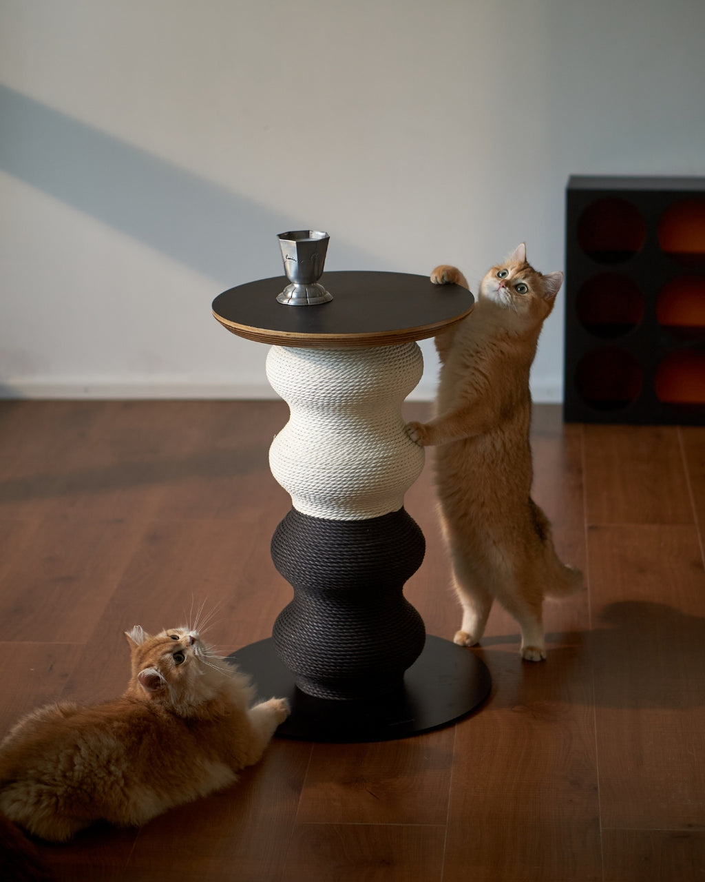 Coral Scratch Table | Black + White