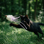 Natural Feather Cat Teaser Toy | 4-Toy Set