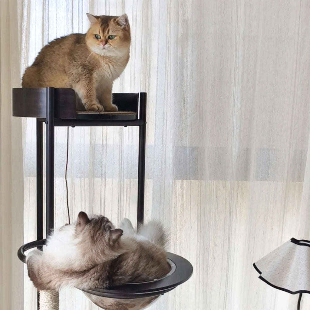 Space Capsule Classic