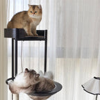 Space Capsule Classic