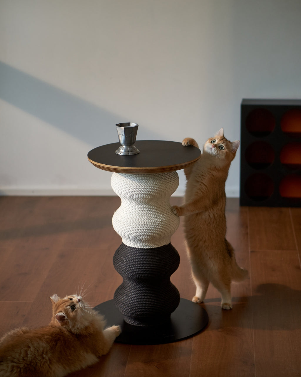 Coral Scratch Table | Black + White