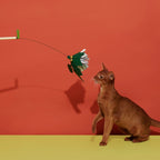 Silver Grass | Blooming Cat Teaser Collection