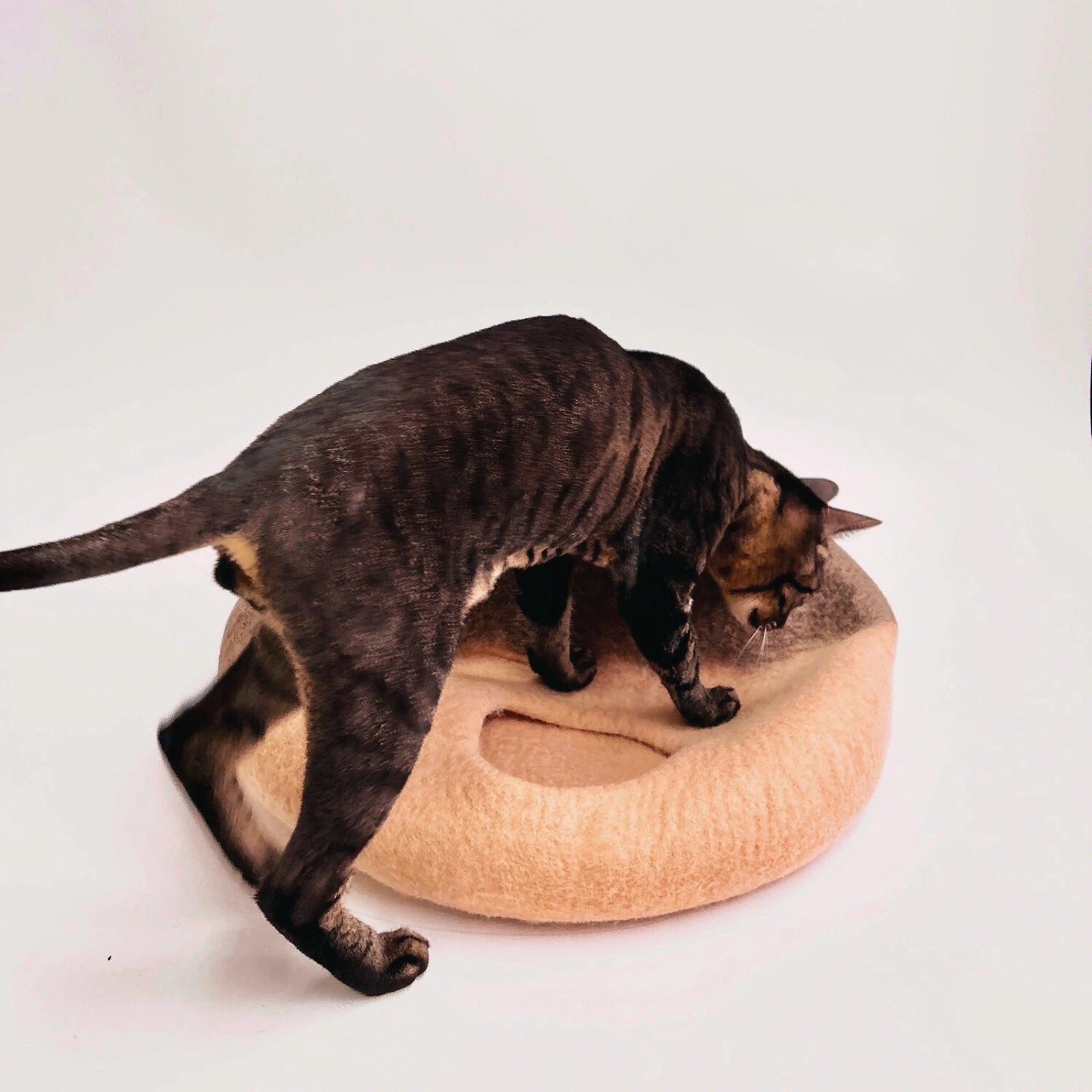 A Chestnut | Natural Wool Felt Cat Cave