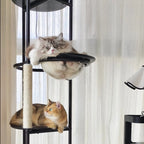 Space Capsule Classic