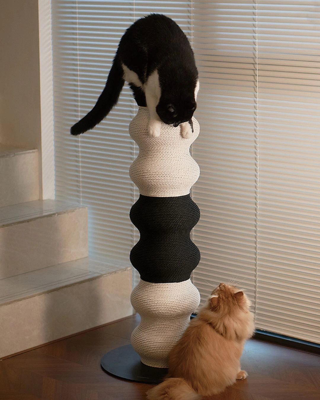 Coral Scratch Post | Black + White