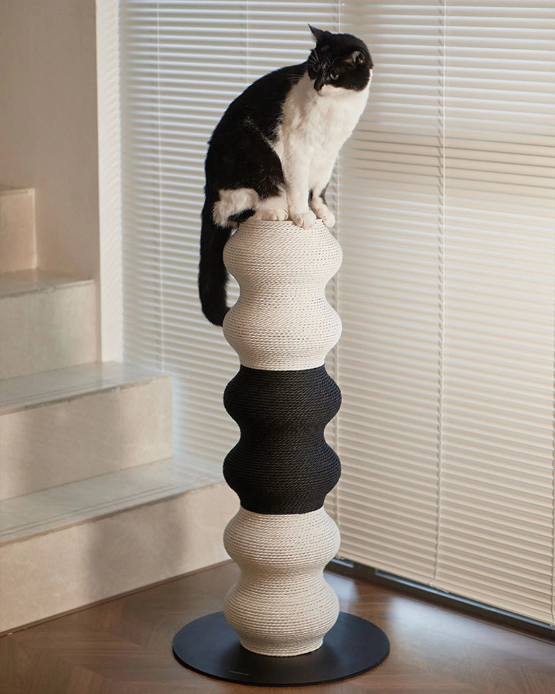 Coral Scratch Post | Black + White