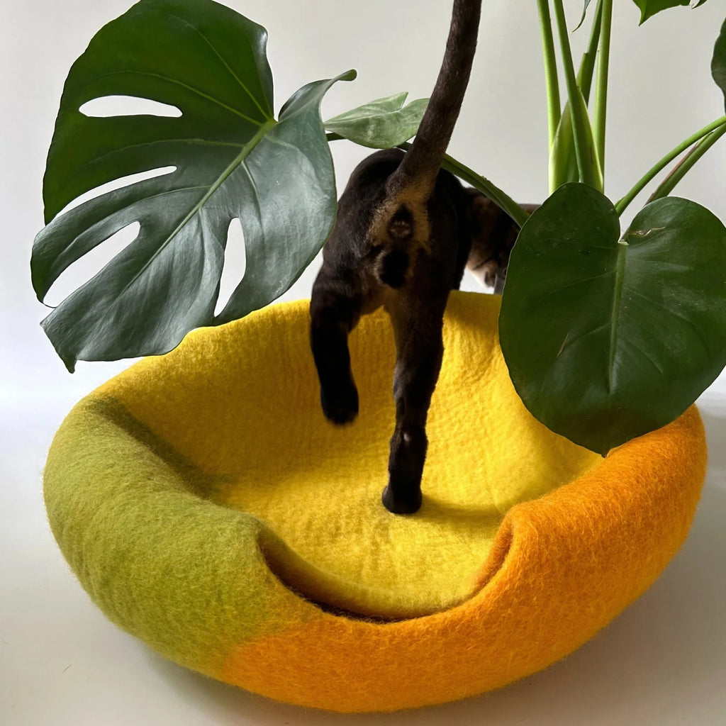 Amalfi Lemon | Natural Wool Felt Cat Cave