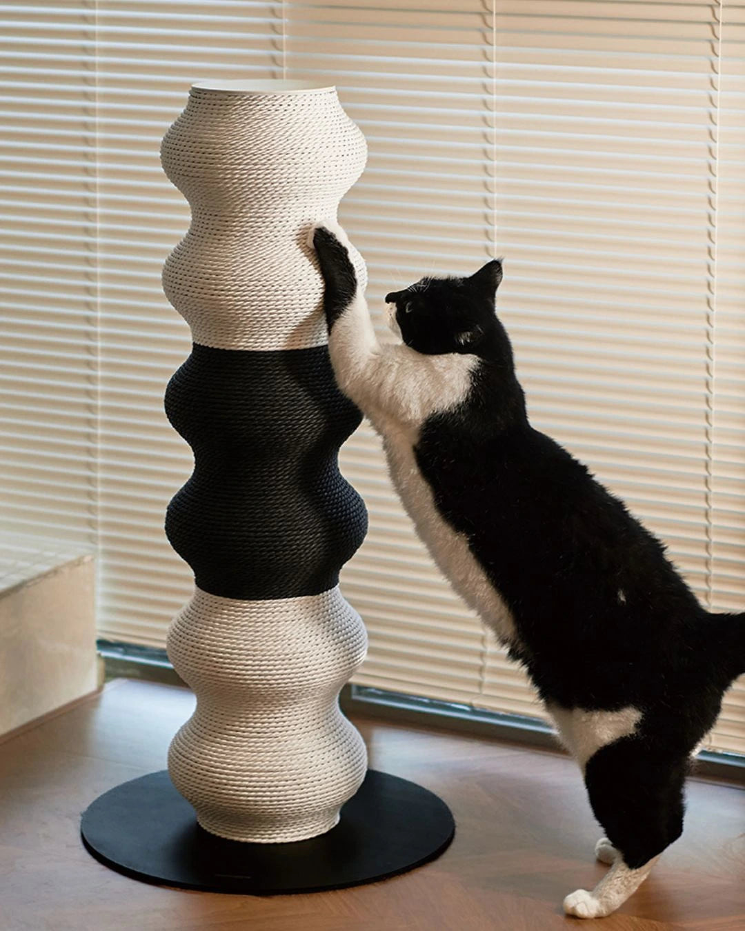Coral Scratch Post | Black + White