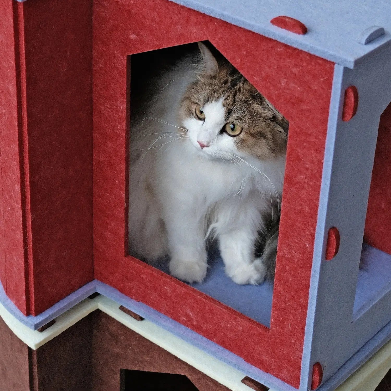 COMMA | Premium Felt Cat Tunnel