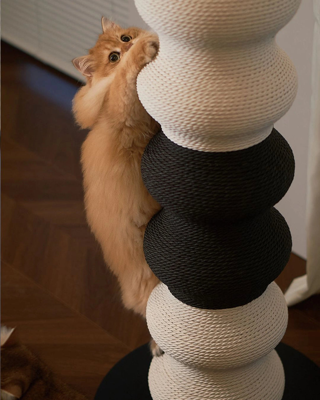 Coral Scratch Post | Black + White