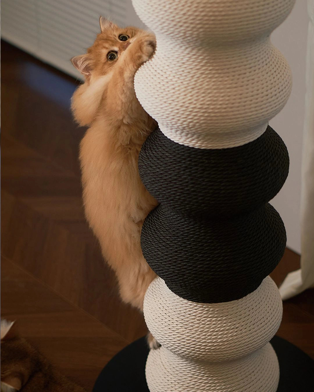 Coral Scratch Post | Black + White