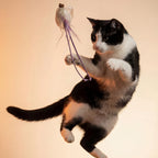 Natural Feather Cat Teaser Toy | 4-Toy Set