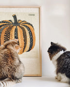 Pumpkin Series Cat Scratch Board