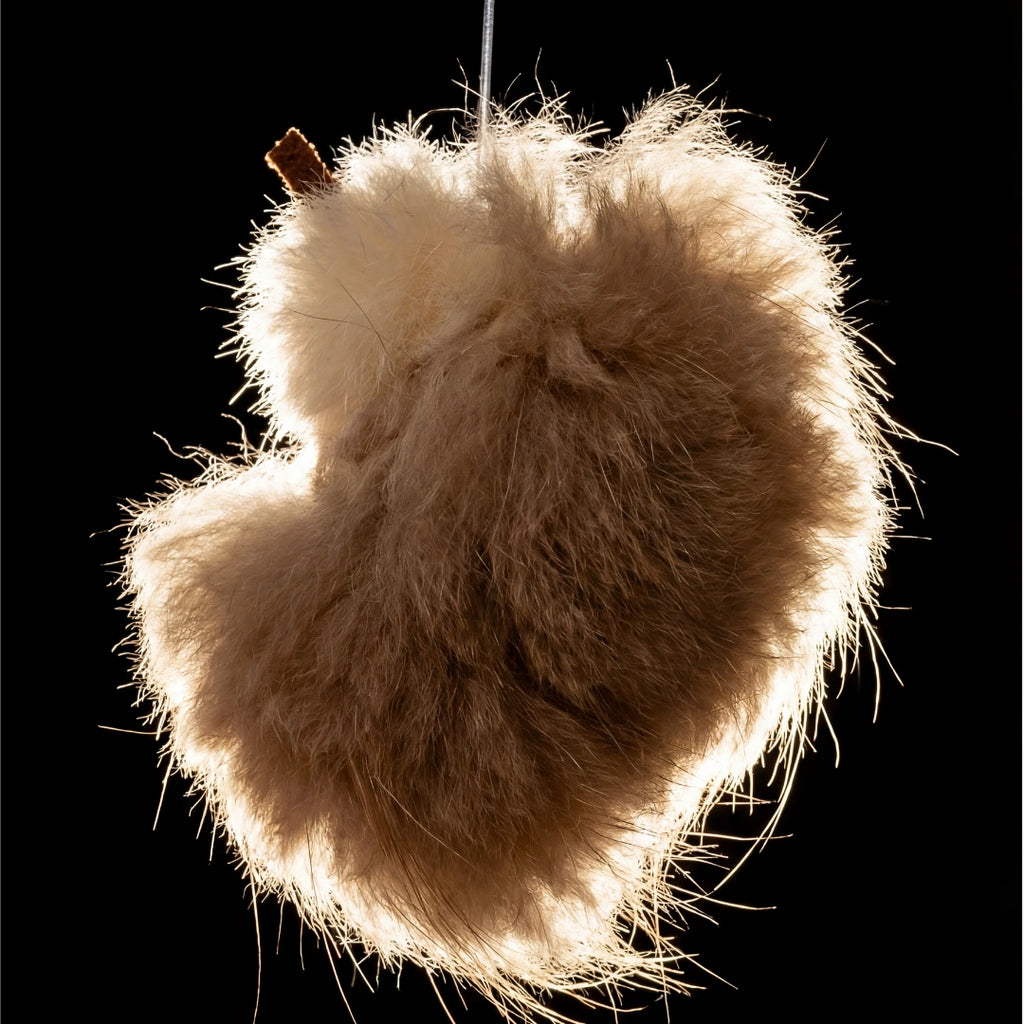 Natural Feather Cat Teaser Toy | 4-Toy Set