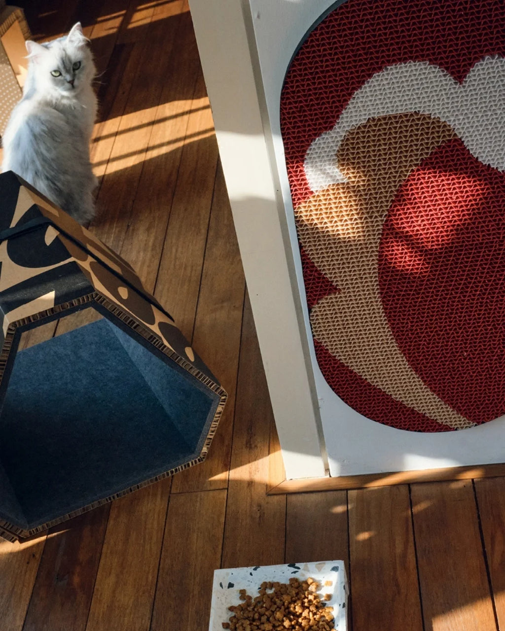 The Wave Scratch Board