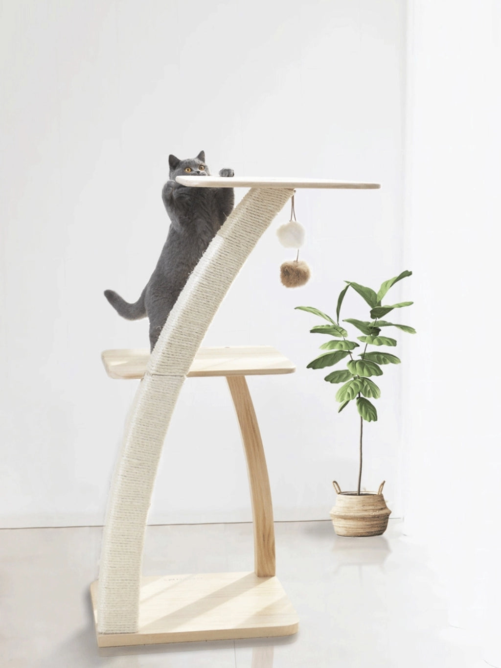 Coconut Cat Tree