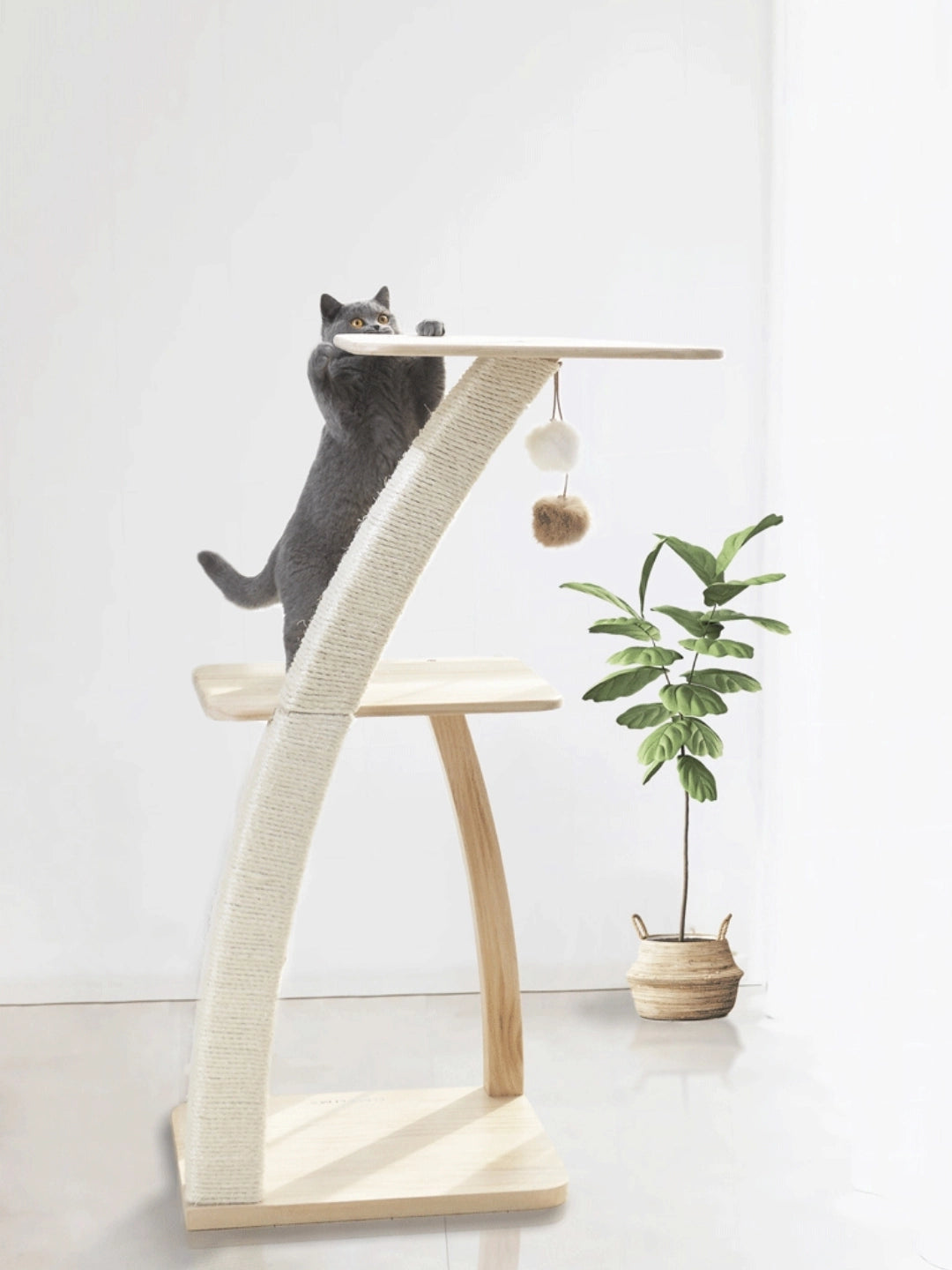 Coconut Cat Tree