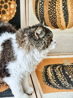 Pumpkin Series Cat Scratch Board