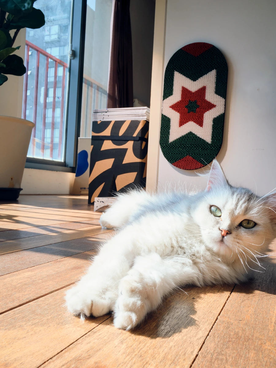 The Stellar Scratch Board | Christmas Edition