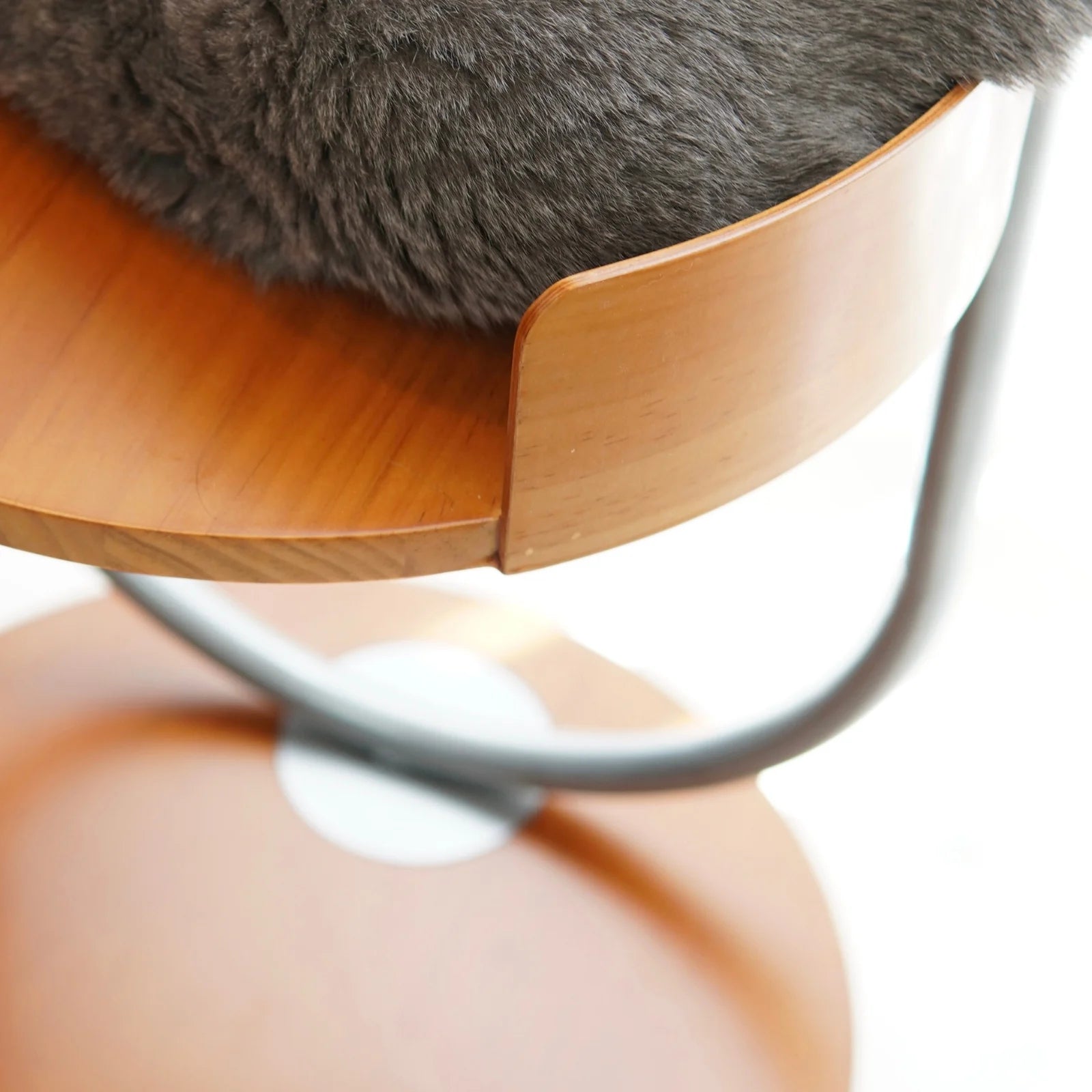 Cita | Floating Cat Table