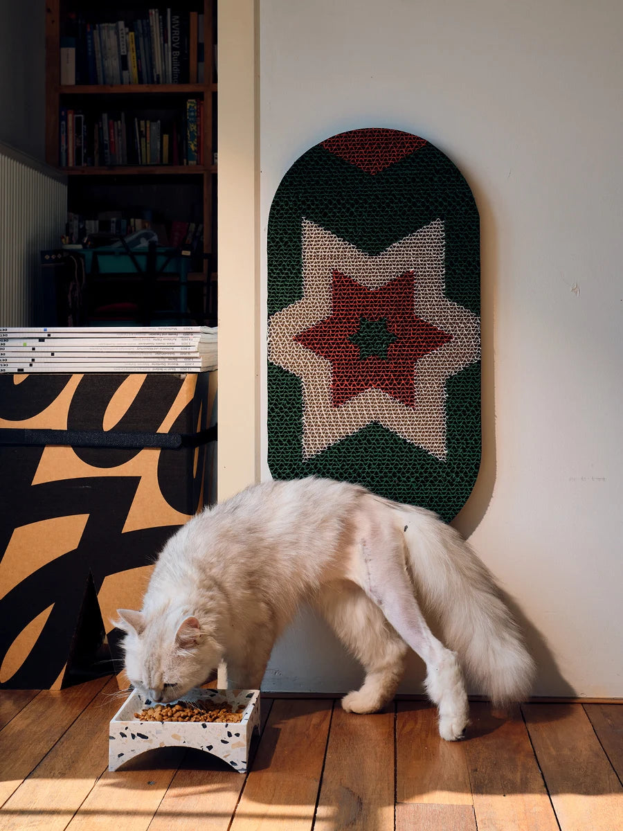 The Stellar Scratch Board | Christmas Edition