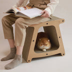 3-in-1 Cat House Stool