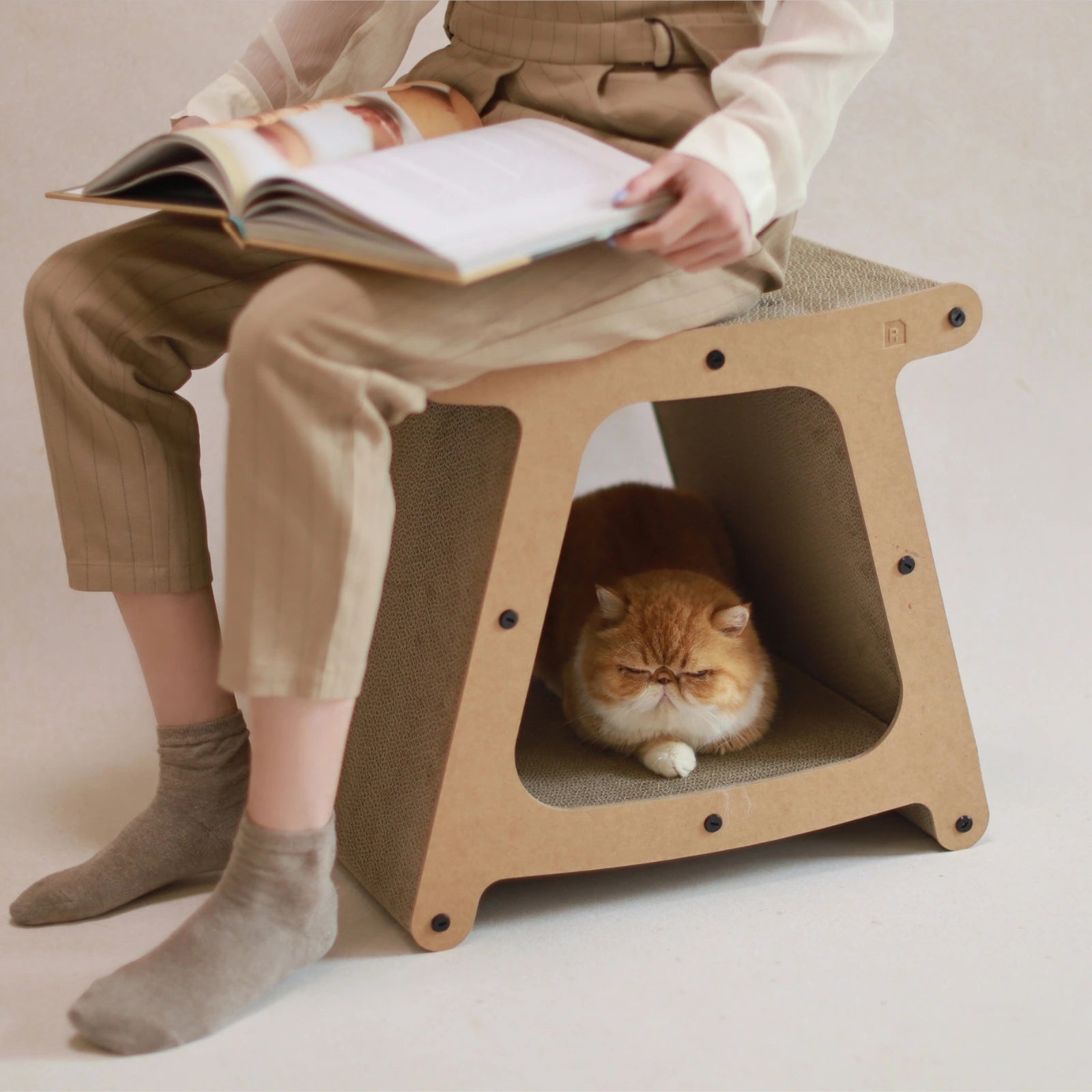 3-in-1 Cat House Stool