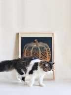 Pumpkin Series Cat Scratch Board
