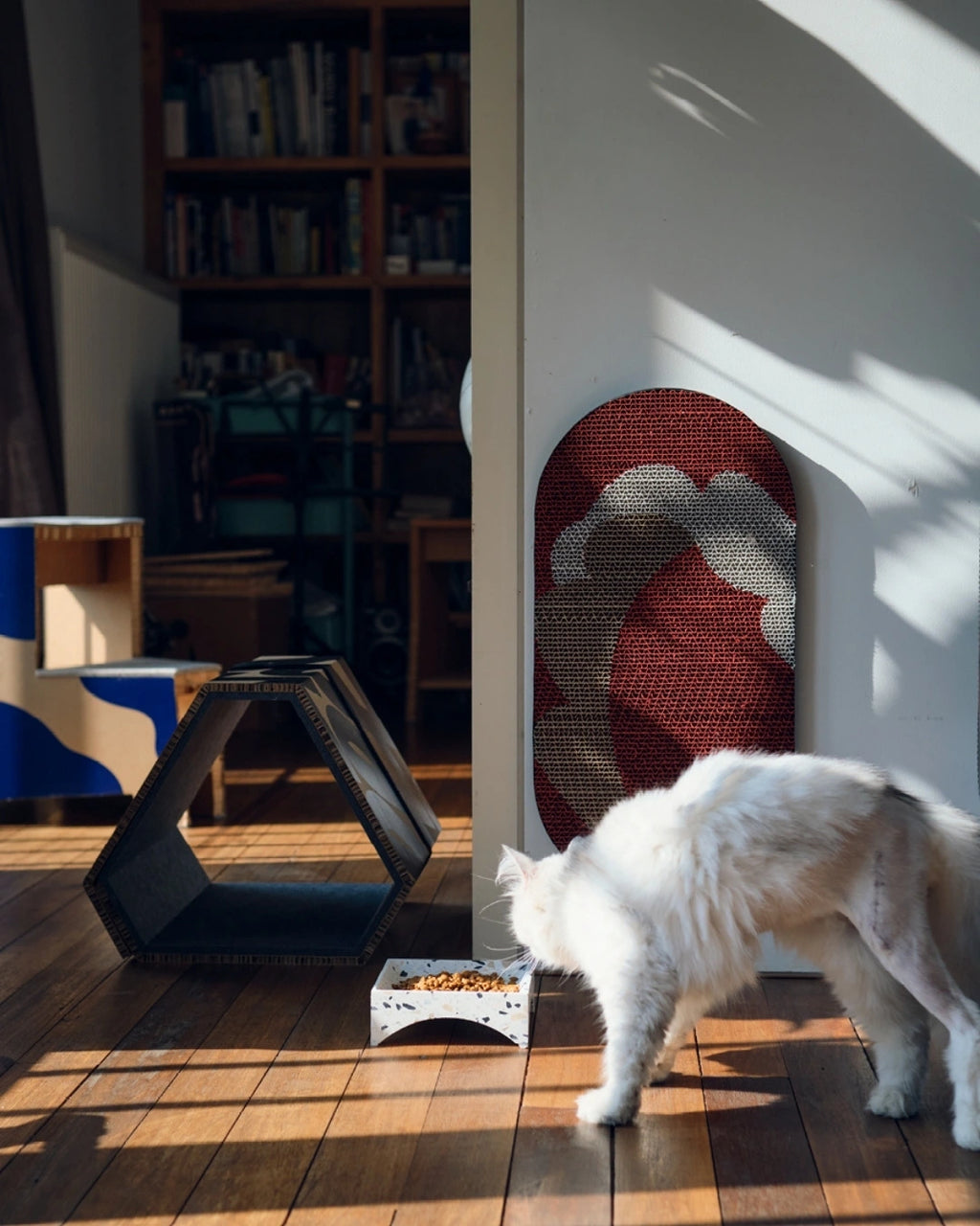 The Wave Scratch Board