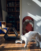 The Wave Scratch Board