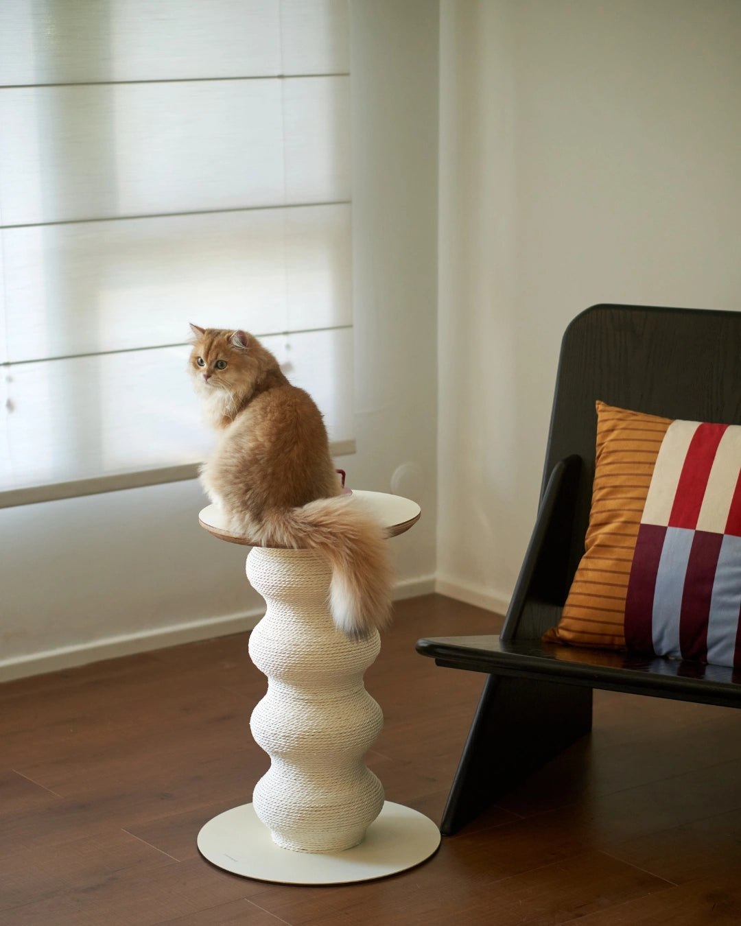 Coral Scratch Table | White