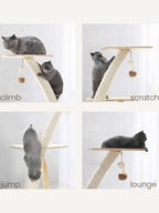 Coconut Cat Tree