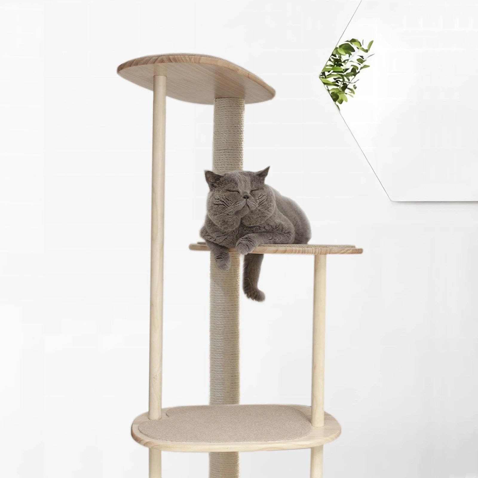 Senbei | Wooden Cat Tree