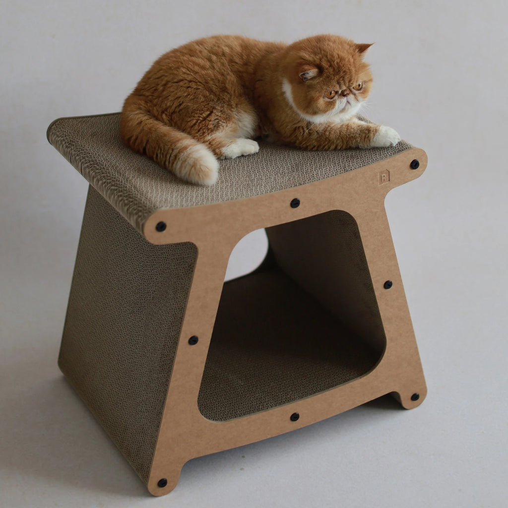 3-in-1 Cat House Stool