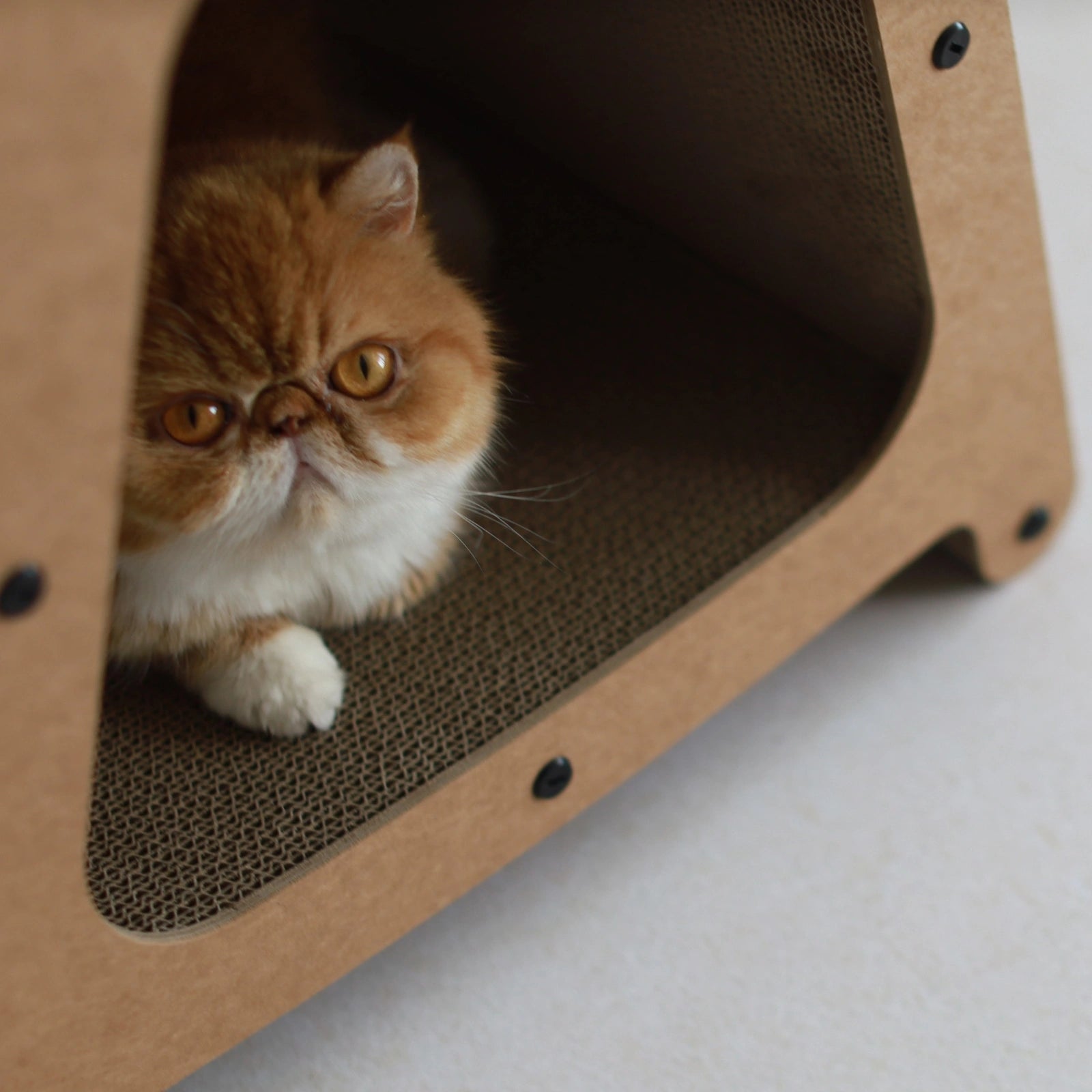3-in-1 Cat House Stool