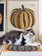 Pumpkin Series Cat Scratch Board